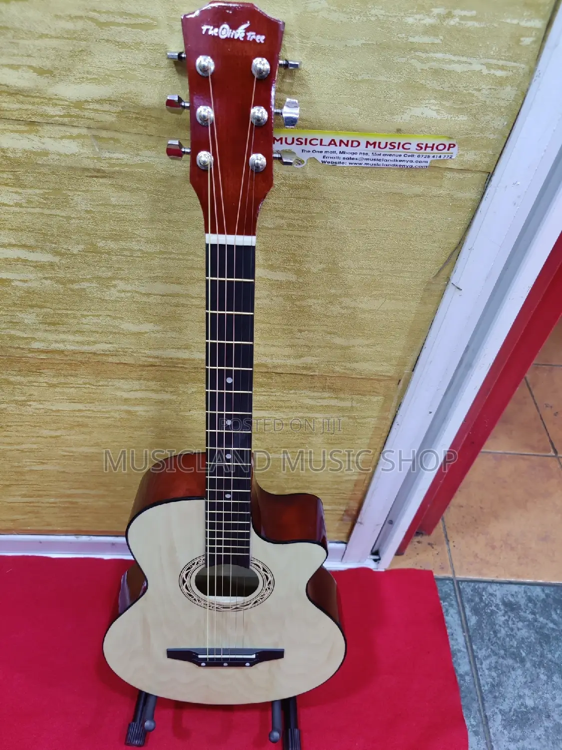 Acoustic Guitar With Bag Free