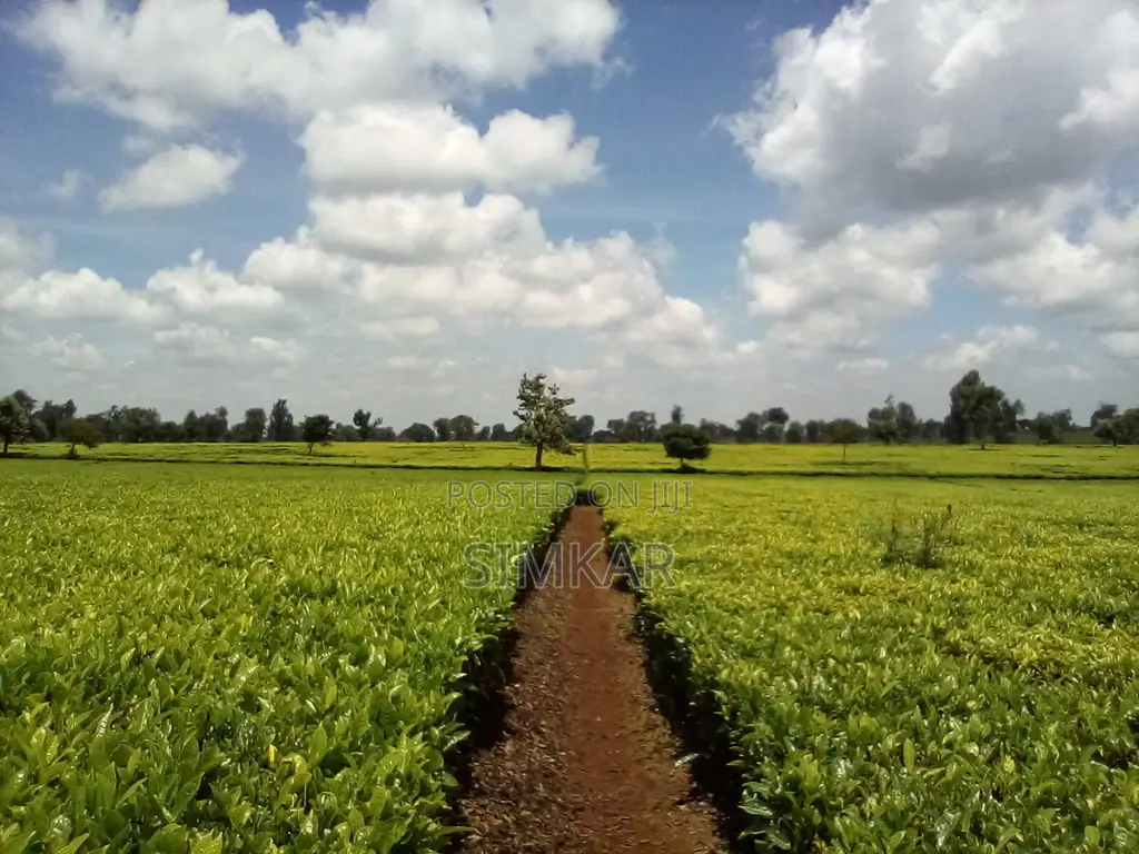 Blocks of Land for Sale in Cianda Area, Kiambu