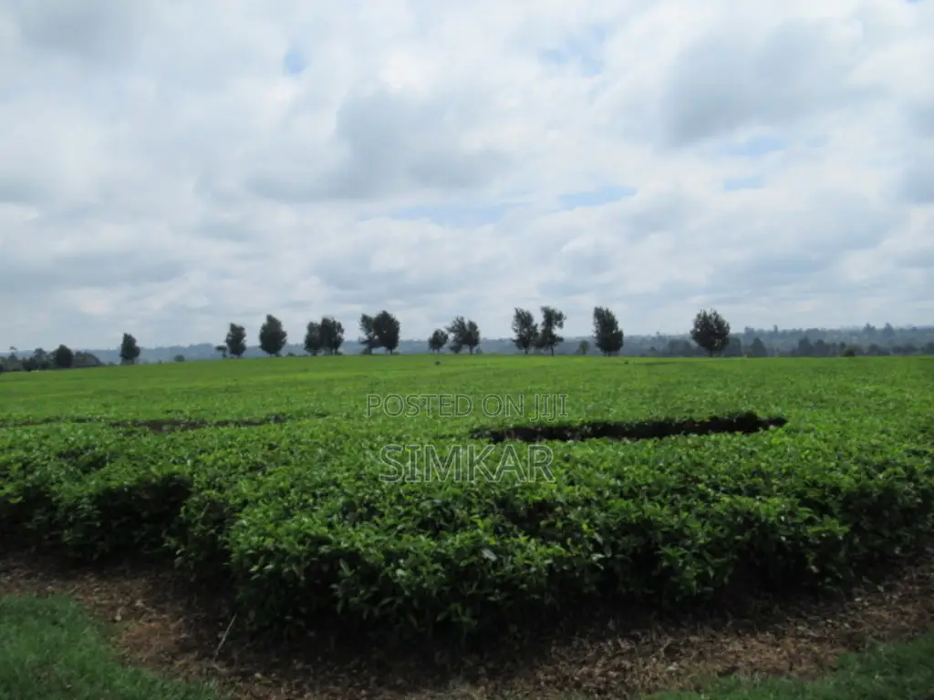 Blocks of Land for Sale in Cianda Area, Kiambu