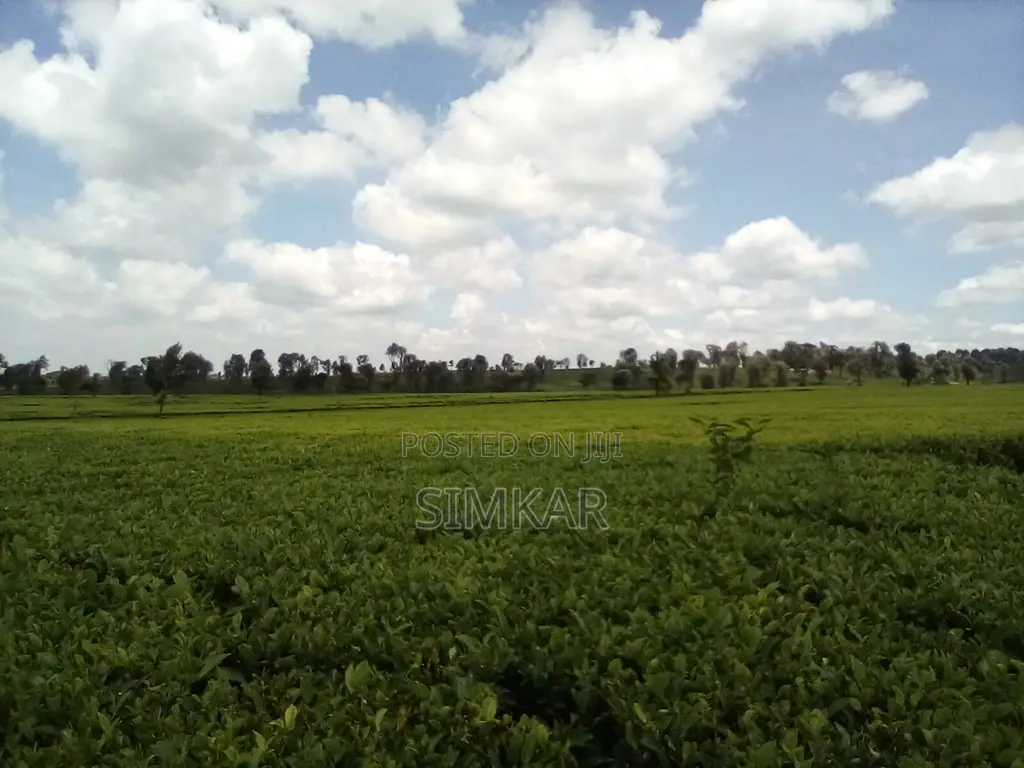 Blocks of Land for Sale in Cianda Area, Kiambu