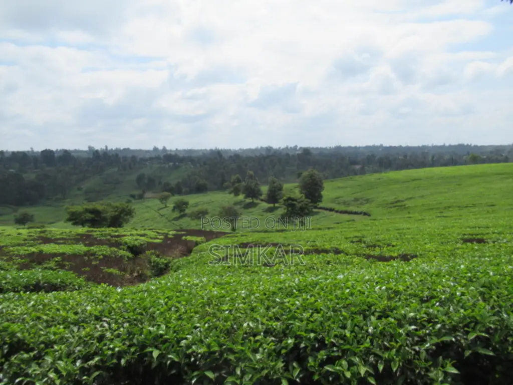 Blocks of Land for Sale in Cianda Area, Kiambu