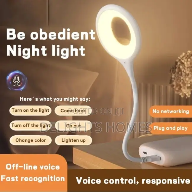USB Connection Desk Lamp