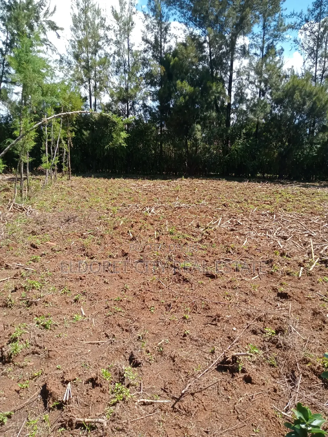 1/8 Plot Kapseret Inder Area Ideal for Residential