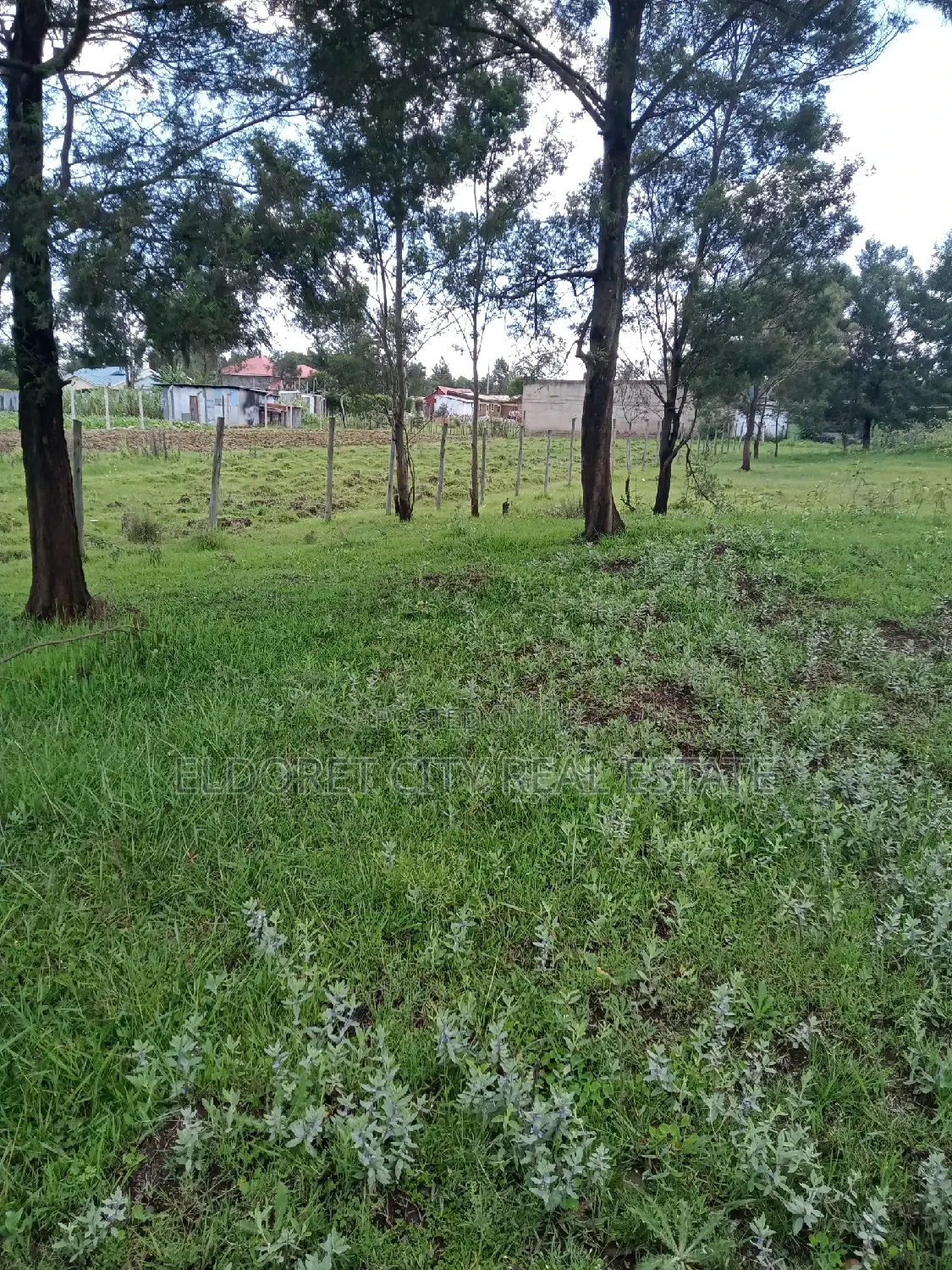 1/4 Plot Annex Rolyton With Title 200metres From Tarmac