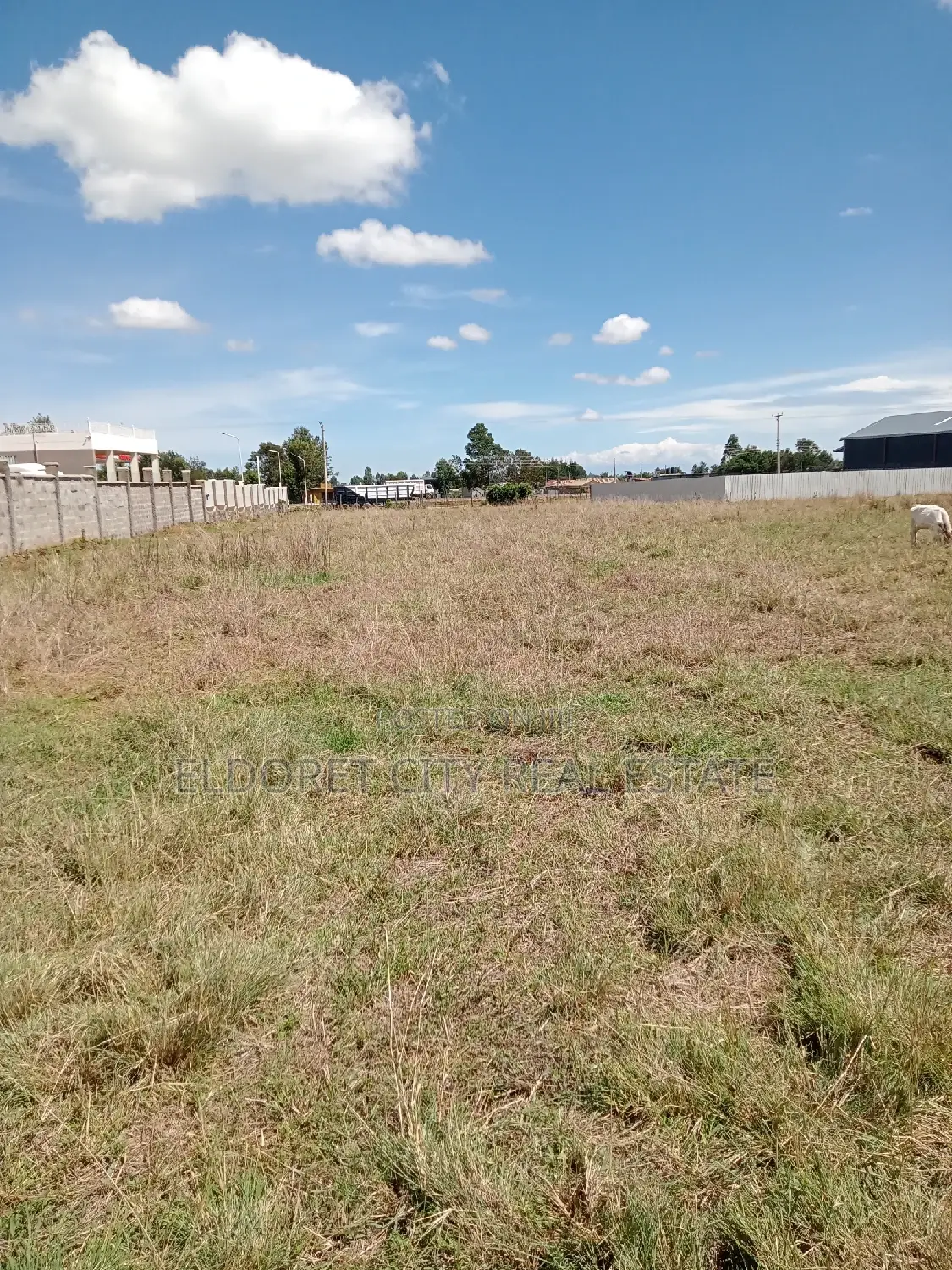 1/4 Plot Annex With Title Less Than 100metres From Tarmac