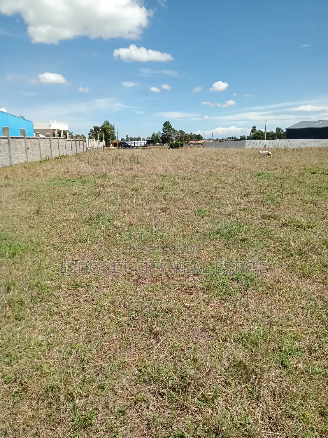 1/4 Plot Annex With Title Less Than 100metres From Tarmac