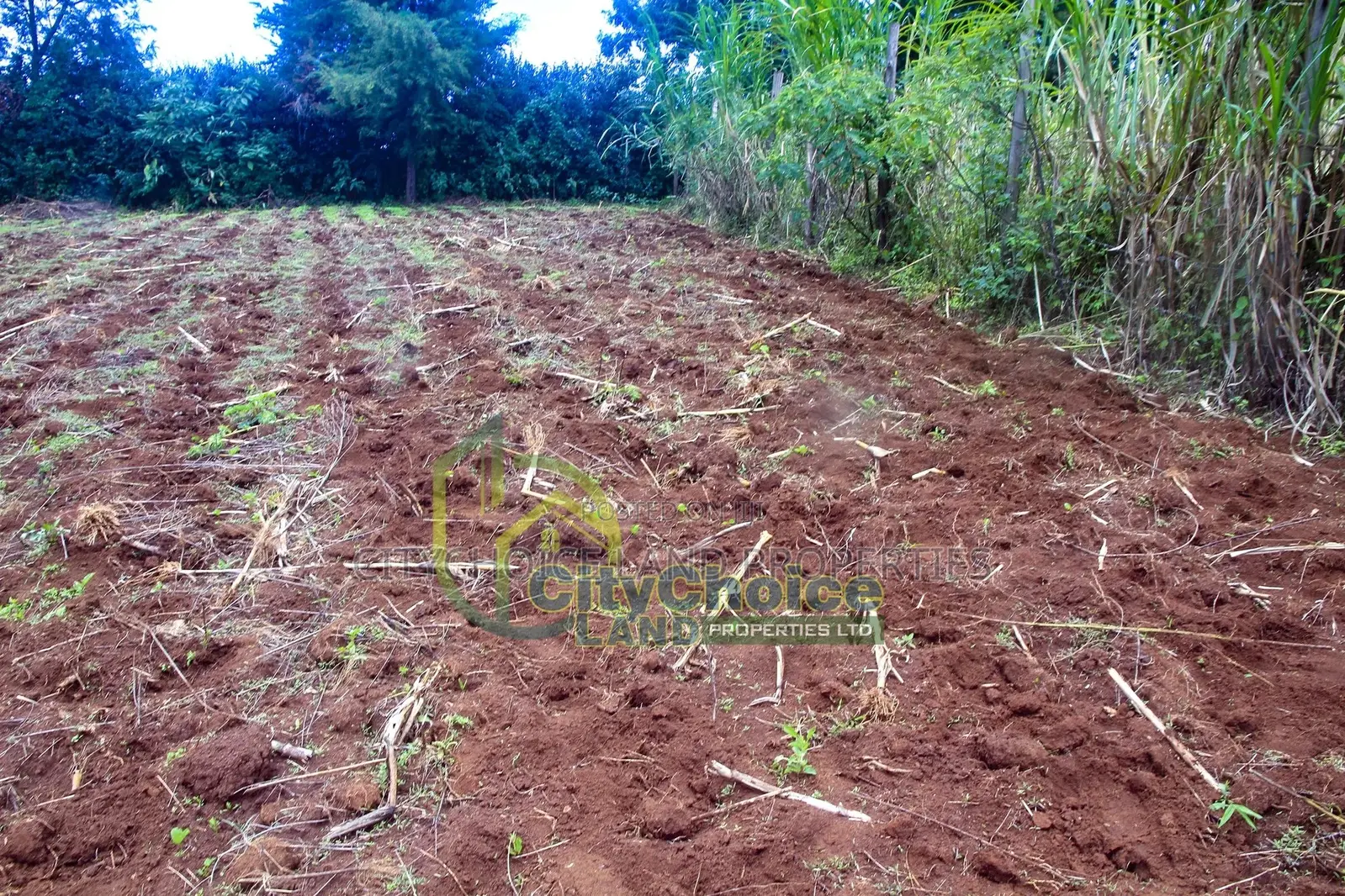 0.25 Acre Land for Sale in Ondiri - Kikuyu