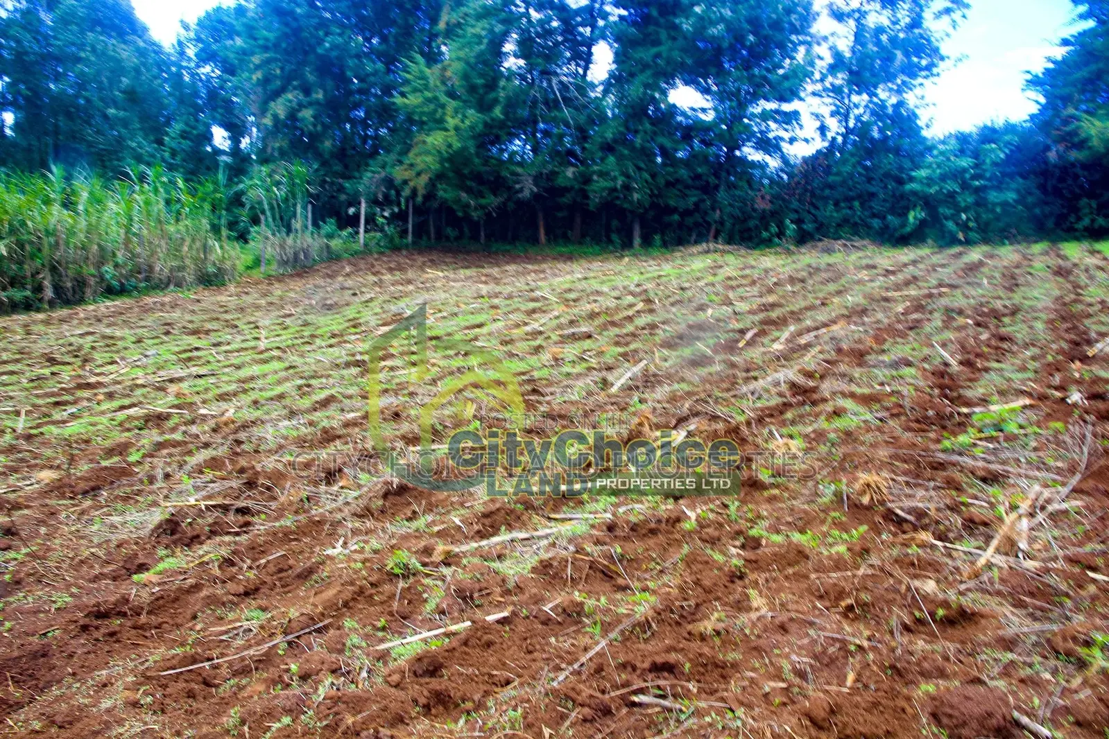 0.25 Acre Land for Sale in Ondiri - Kikuyu