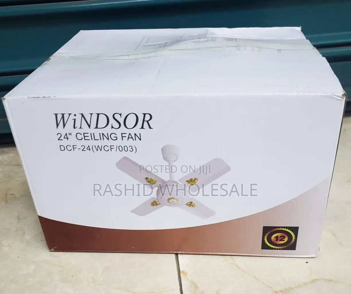 Windsor 24 Inch Ceiling Fan