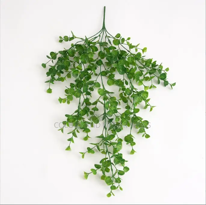 Vines KSH 1000