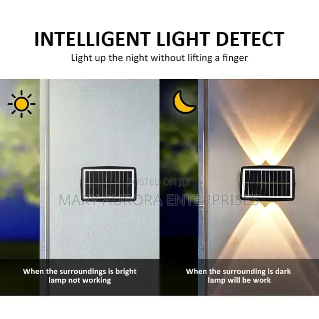 Outdoor Solar Lights/Decoration Lights