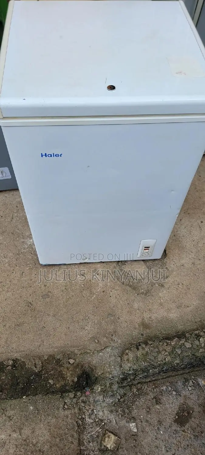 Mini Freezer 100L