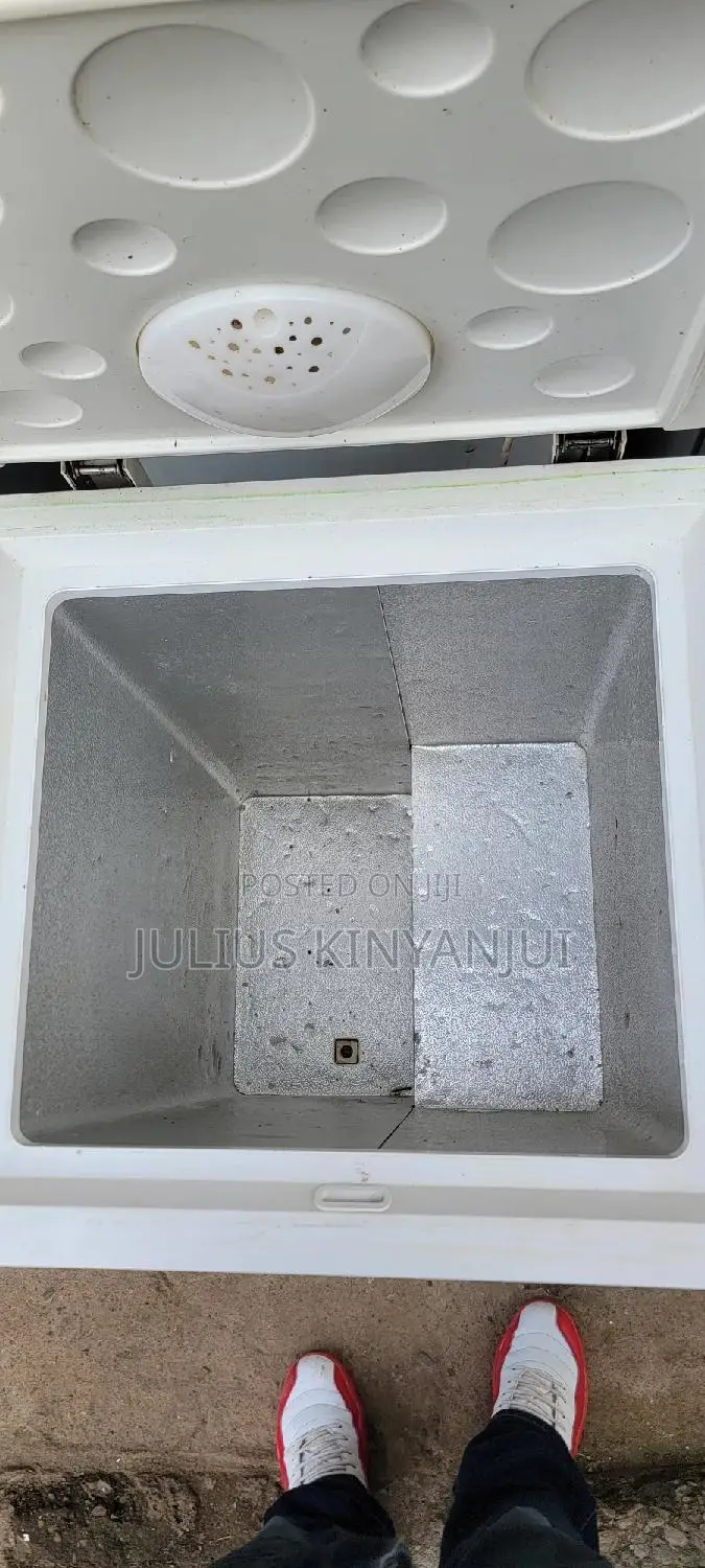 Mini Freezer 100L