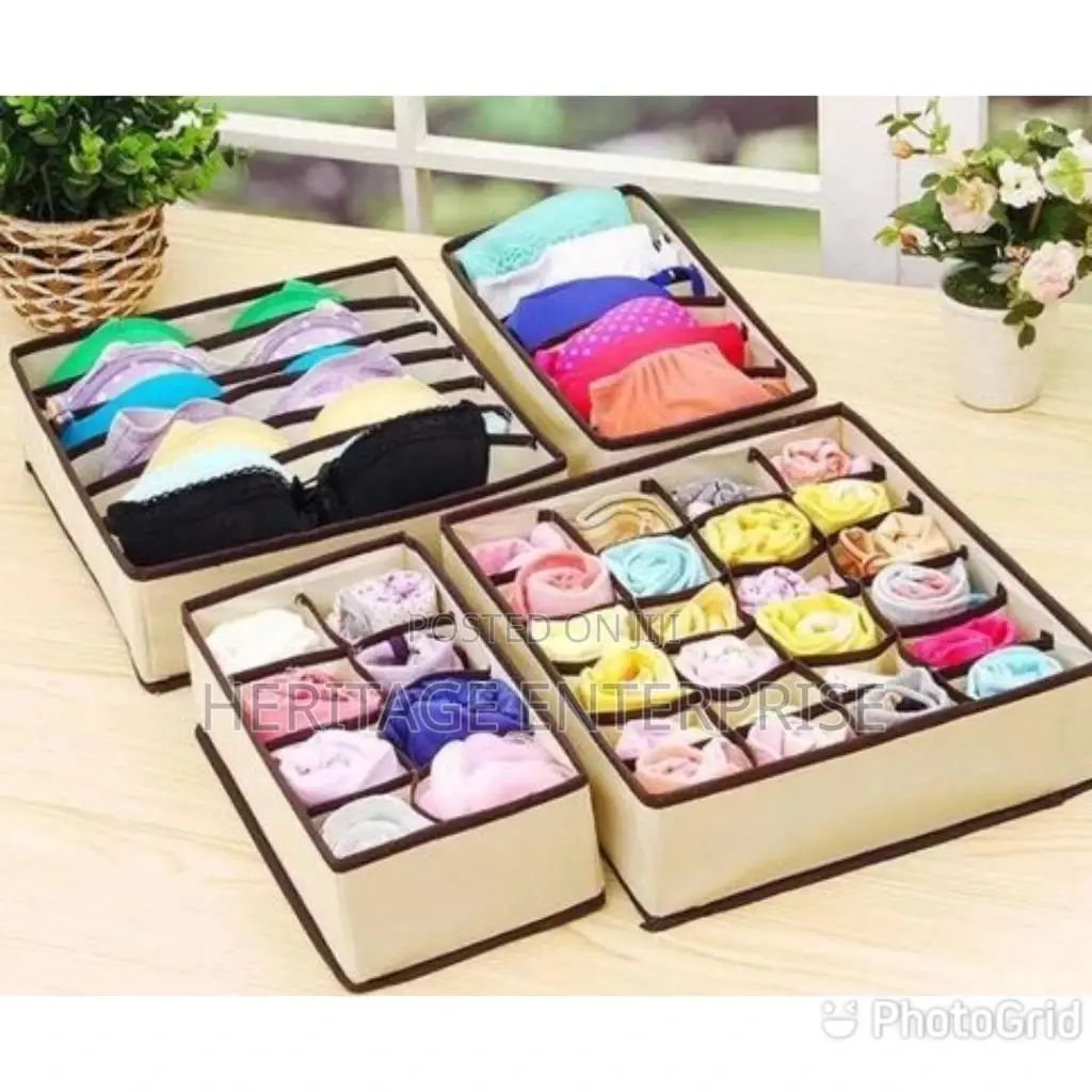 Cloth, Undergarments Cloth Organizer