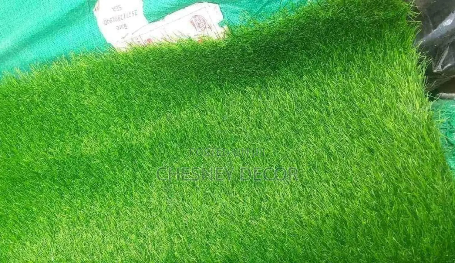 Grass Carpet Grass Carpet Grass Carpet Grass Carpet