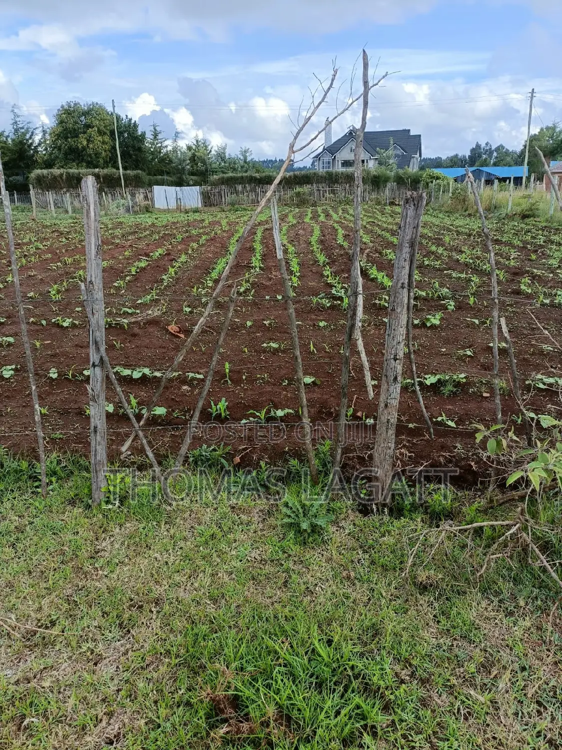 A Very Prime Residential 1⁄4 Acre Plot on Sale