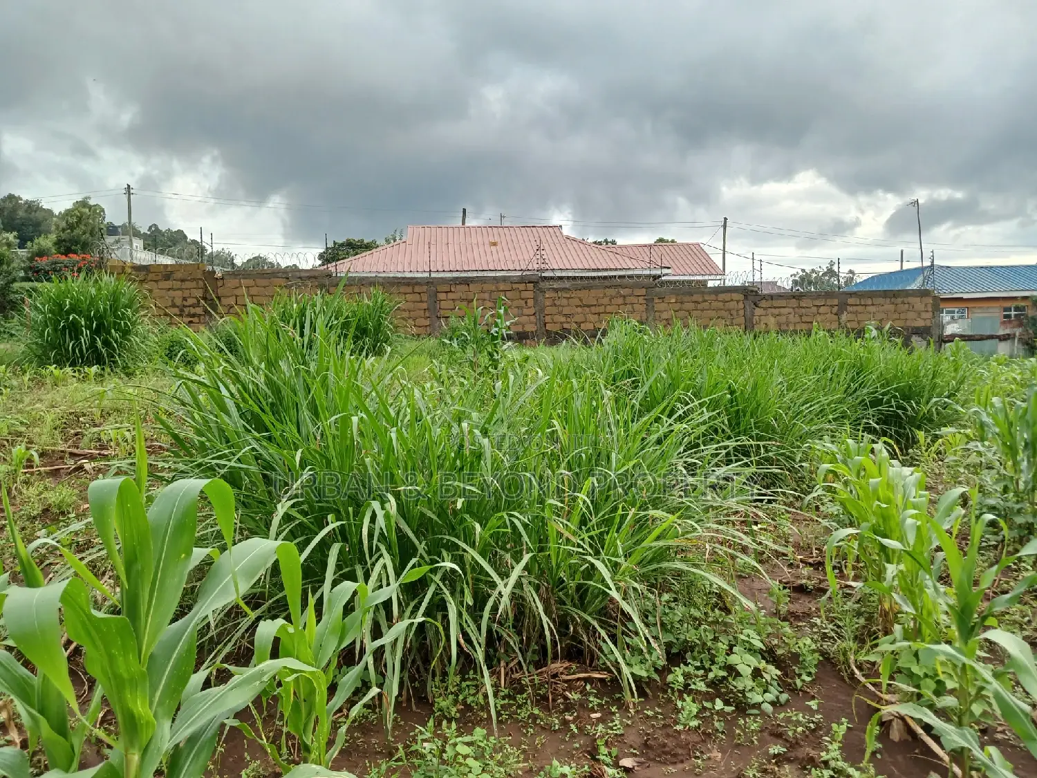 Prime Plots for Sale (1⁄8th)- Lussigeti