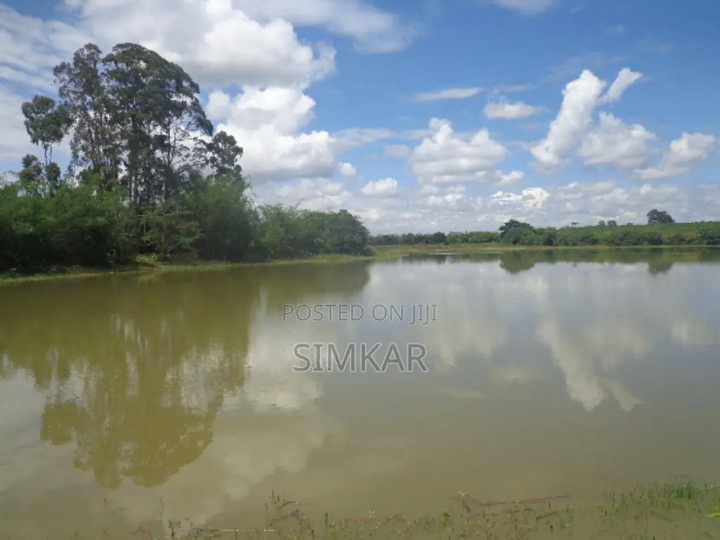Blocks of Land for Sale in Murang'A
