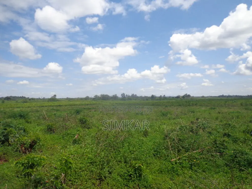 Blocks of Land for Sale in Murang'A