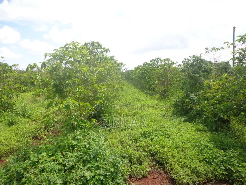 Blocks of Land for Sale in Murang'A