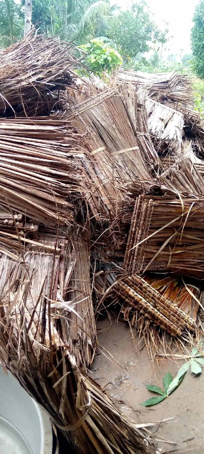Quality Makuti for Roofing Construction.