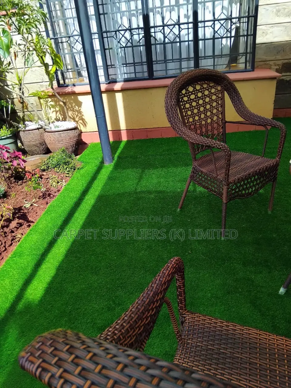 Grass Carpet