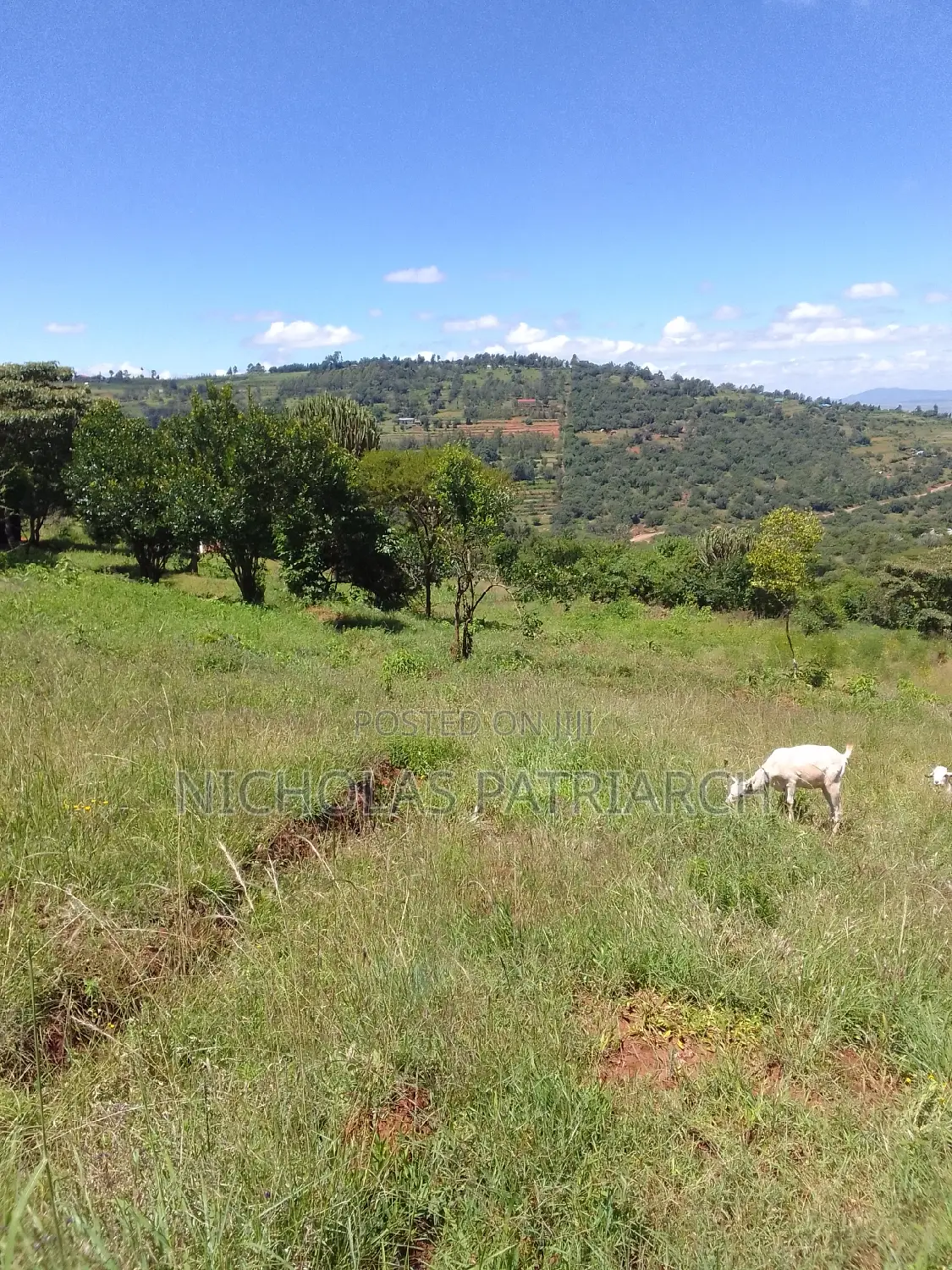 2 Acres Mua Hills Kitanga 200m.From Tarmac at 6m Per Acre