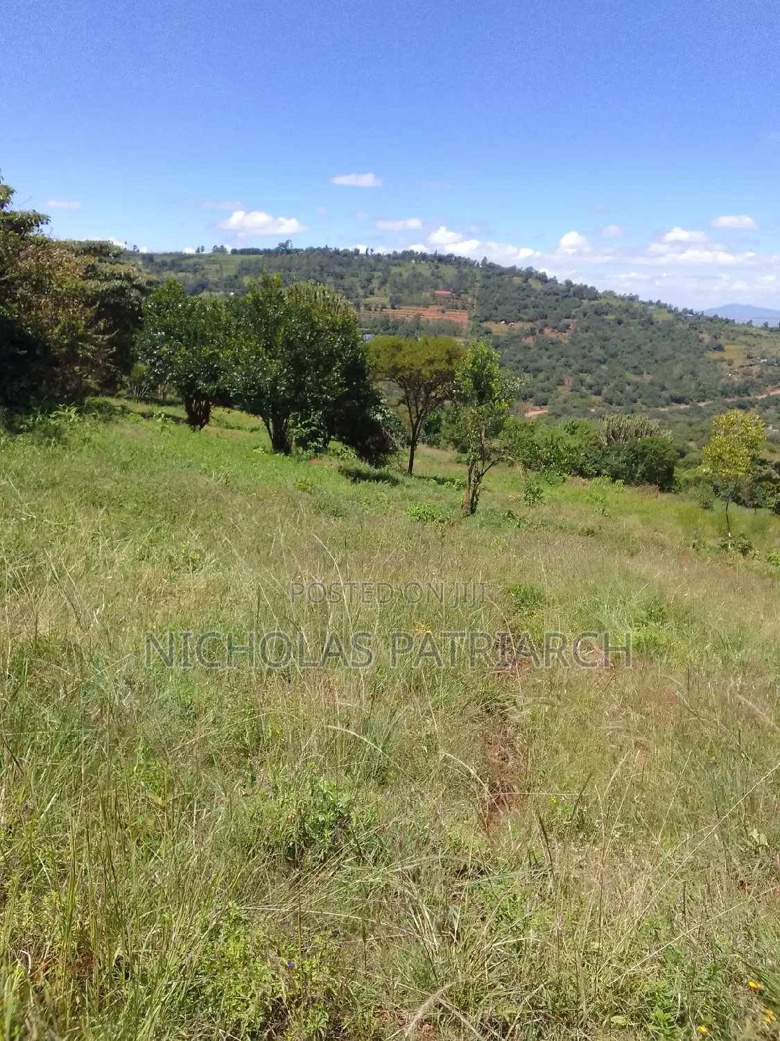 2 Acres Mua Hills Kitanga 200m.From Tarmac at 6m Per Acre