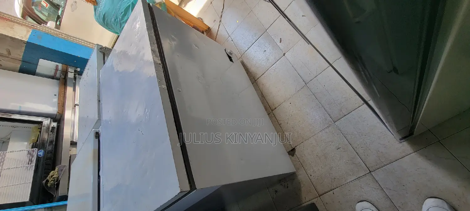 Deep Freezer 300L Westpoint