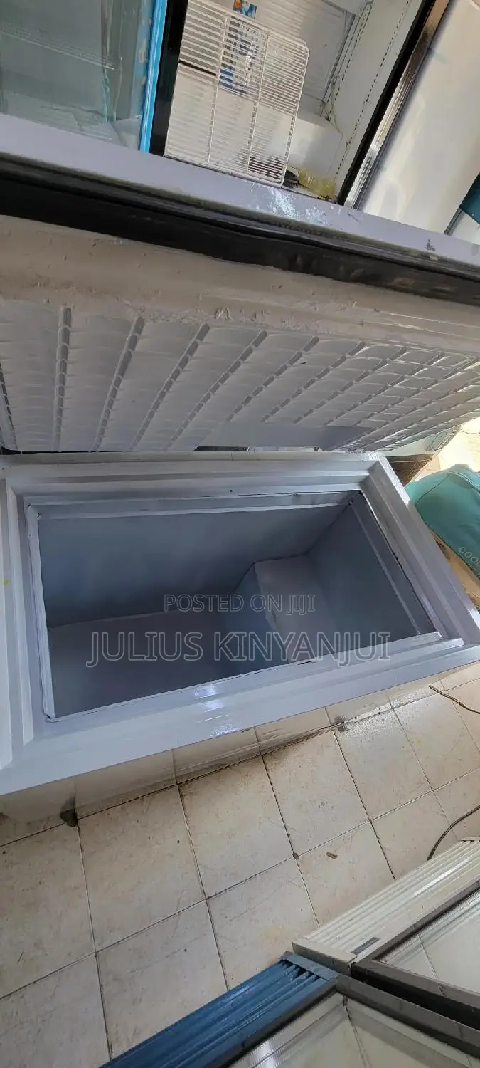 Deep Freezer 300L Westpoint