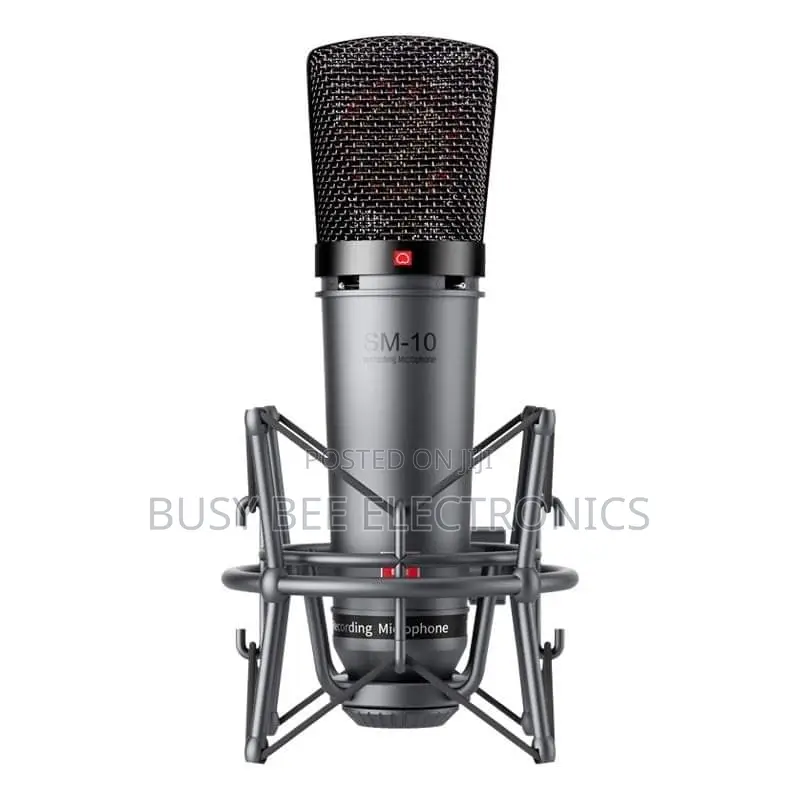 Sm 10takstar Studio Microphone