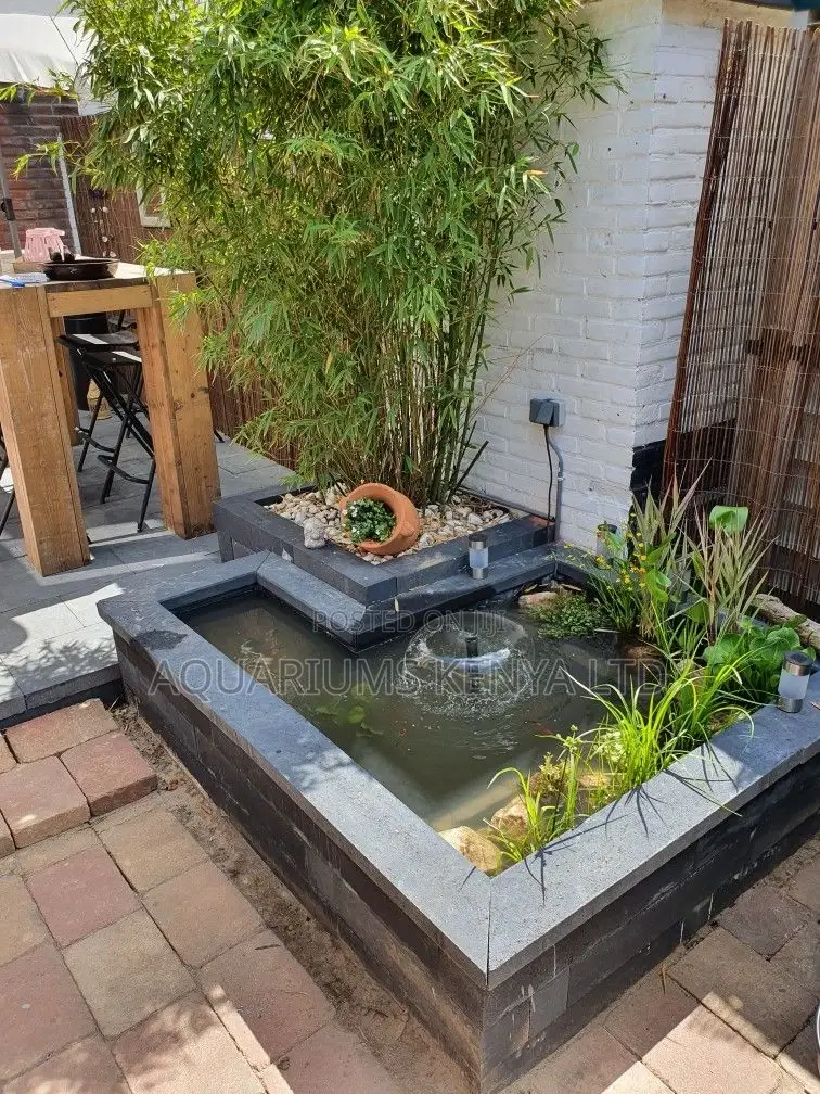 Backyard Pond