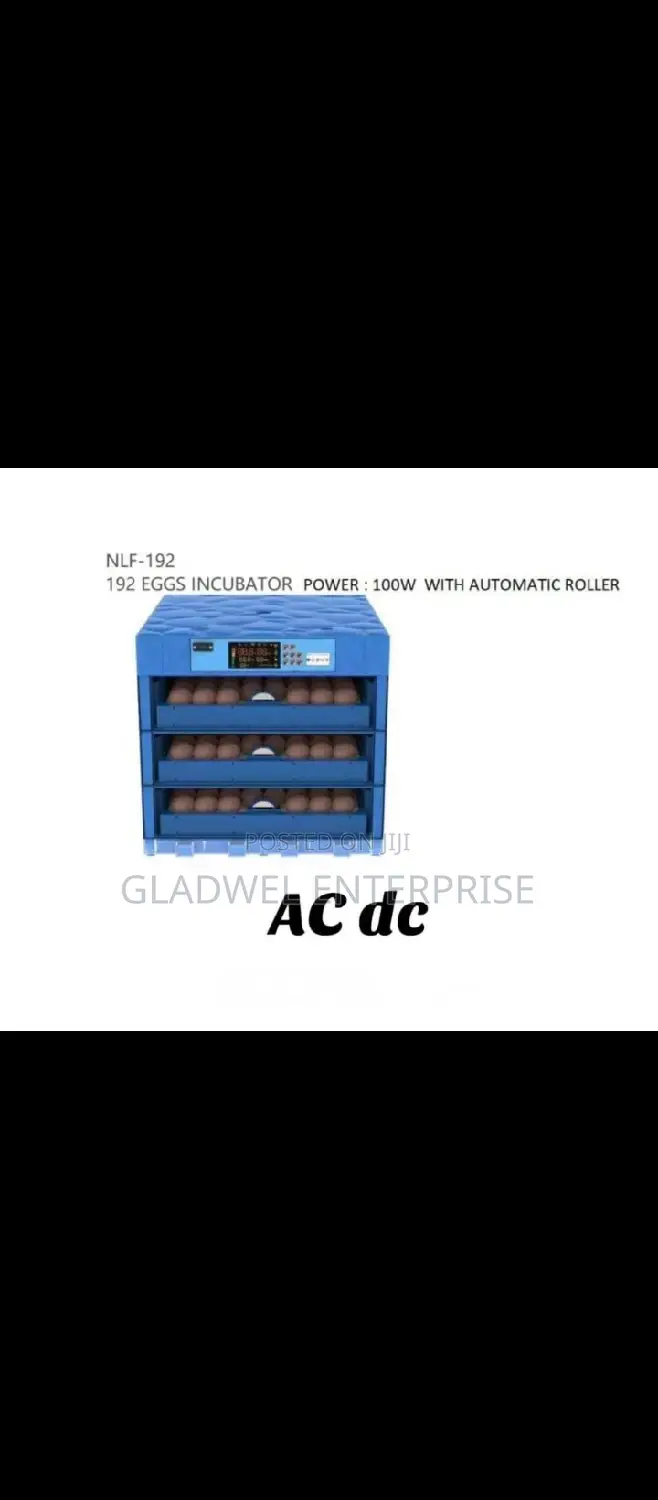 Egg Incubator
