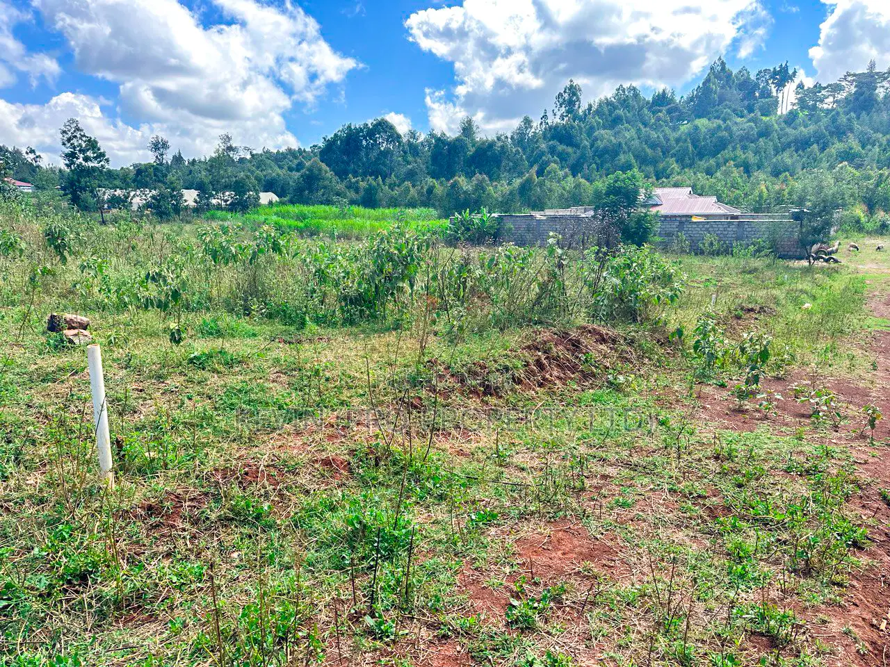 Plots for Sale in Karai, Ondiri.