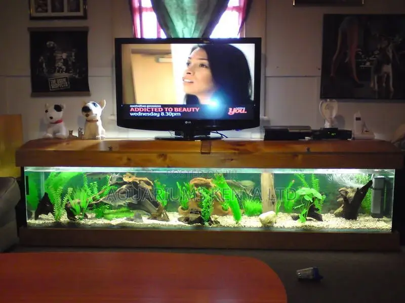 Bottom TV Aquarium Custom Made Aquarium