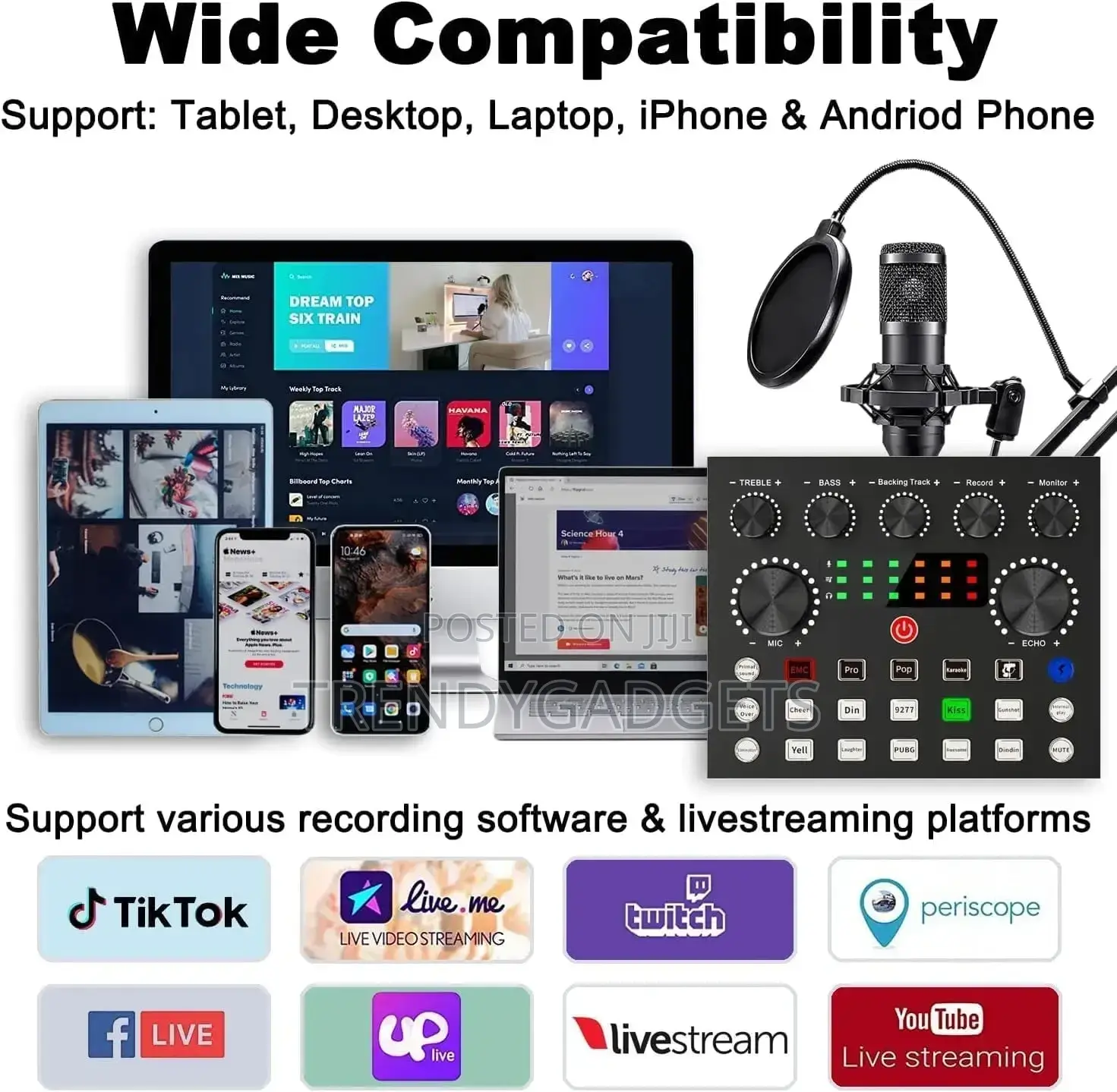 Bm800 V8 Sound Card Set Professional Audio Condense