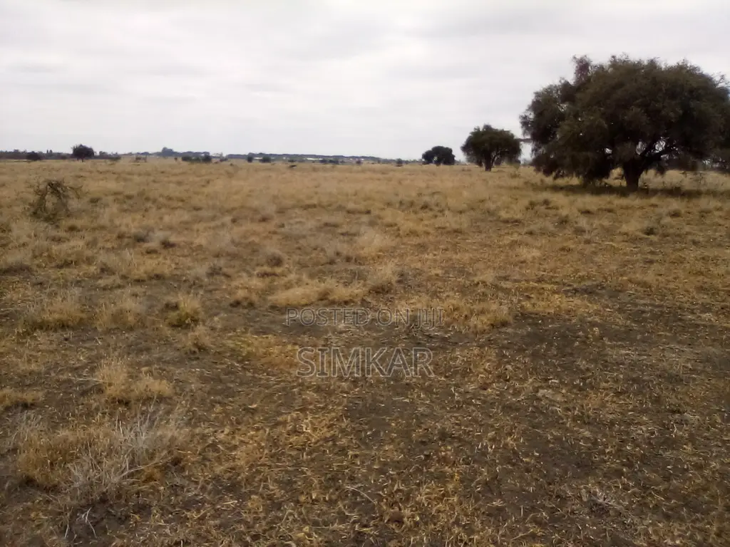 30 Acres of Land for Sale in Kisaju