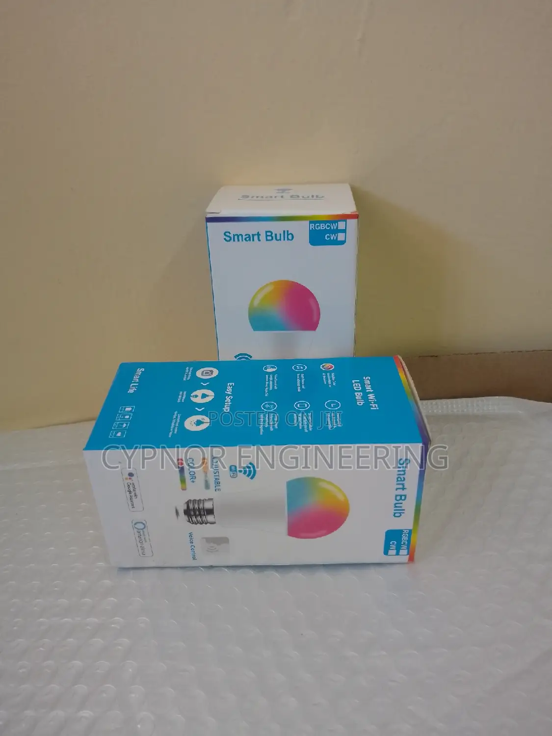 Dimmable Warm Cool Bulb