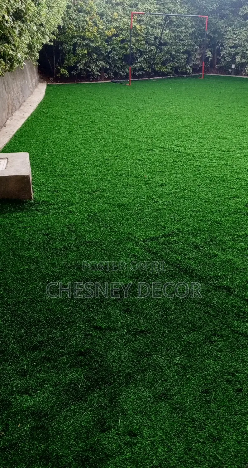 Turf Grass Turf Grass Turf Grass Turf Grass Turf Grass