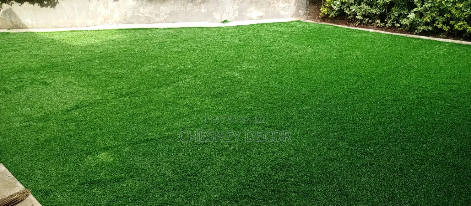 Grass Carpet Grass Carpet Grass Carpet Grass Carpet