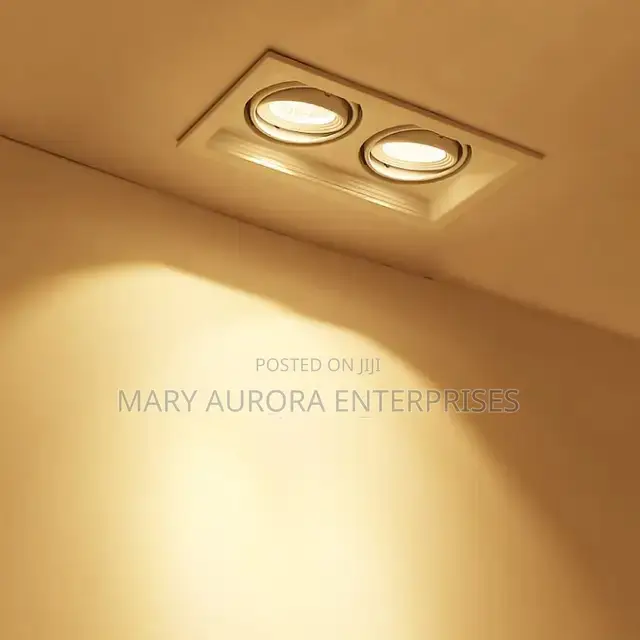 Double Downlighters/2in 1 Downlighters