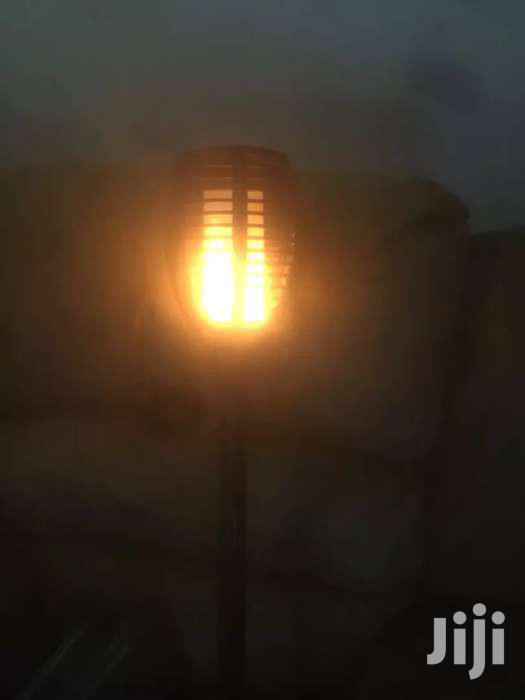 Solar Garden Lights