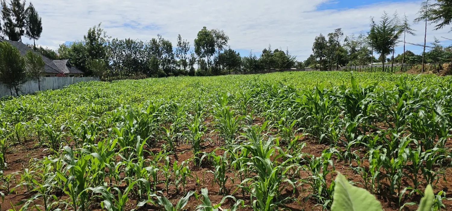 Prime 1⁄2 Acre for Sale in Kiplombe Eldoret