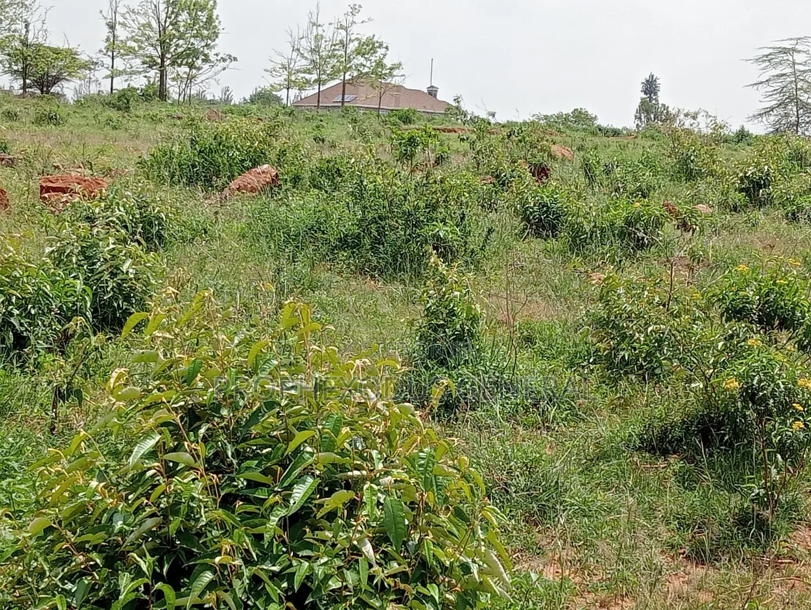 1/2 Residential Plot for Sale in Nazarene Ongata Rongai.