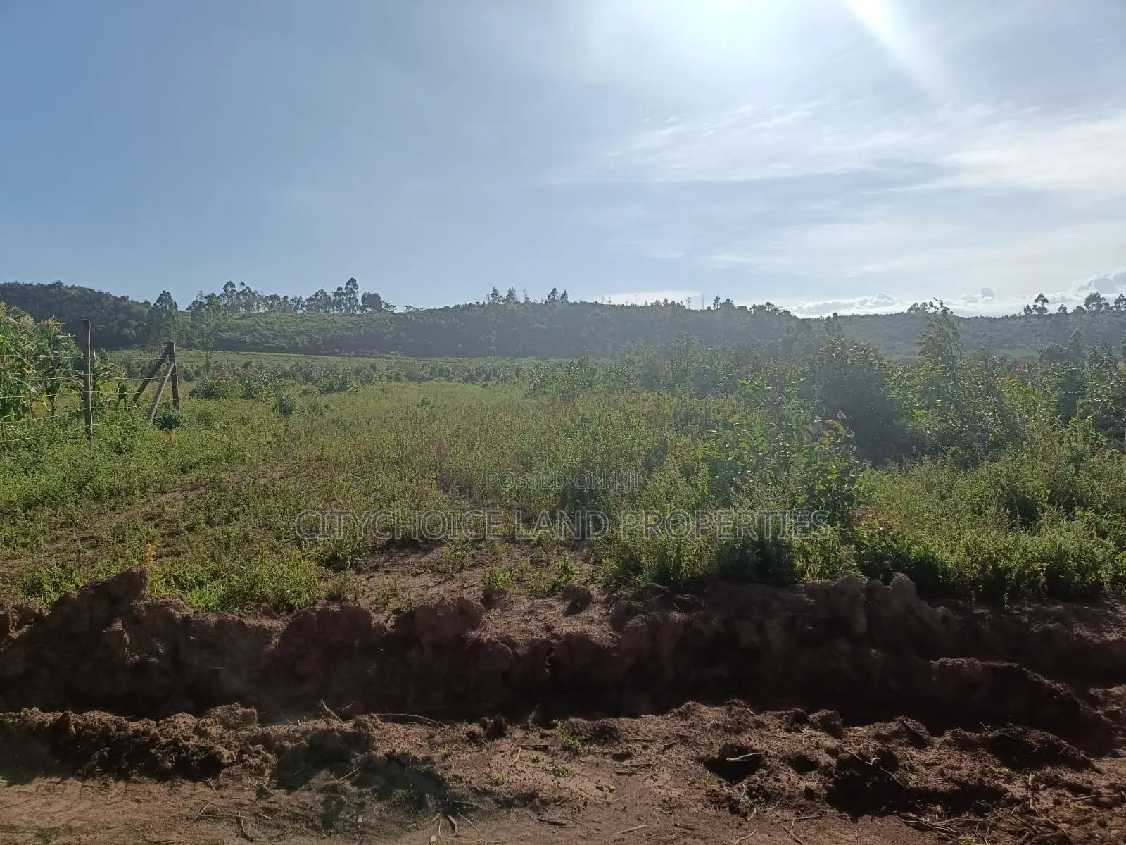 Prime 50x100 Land Available in Karai, Lusigetti