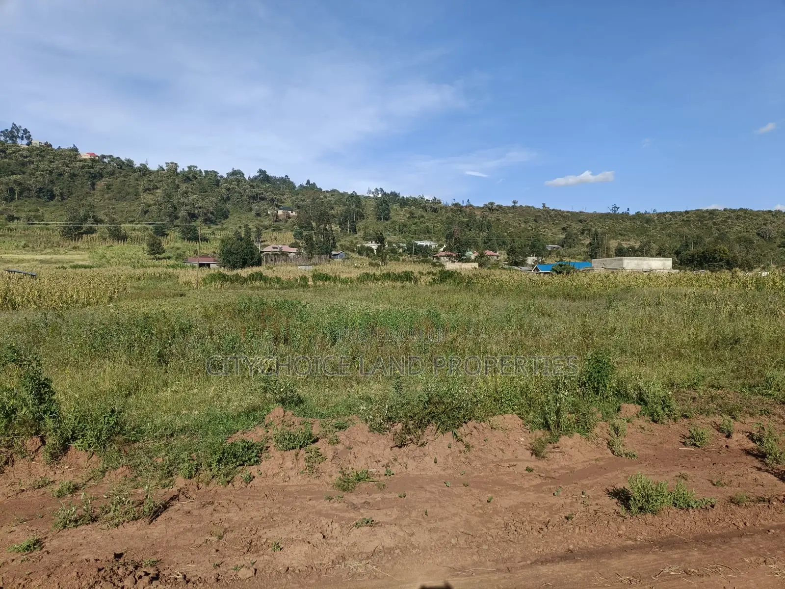 50x100 Land for Sale in Karai Kikuyu