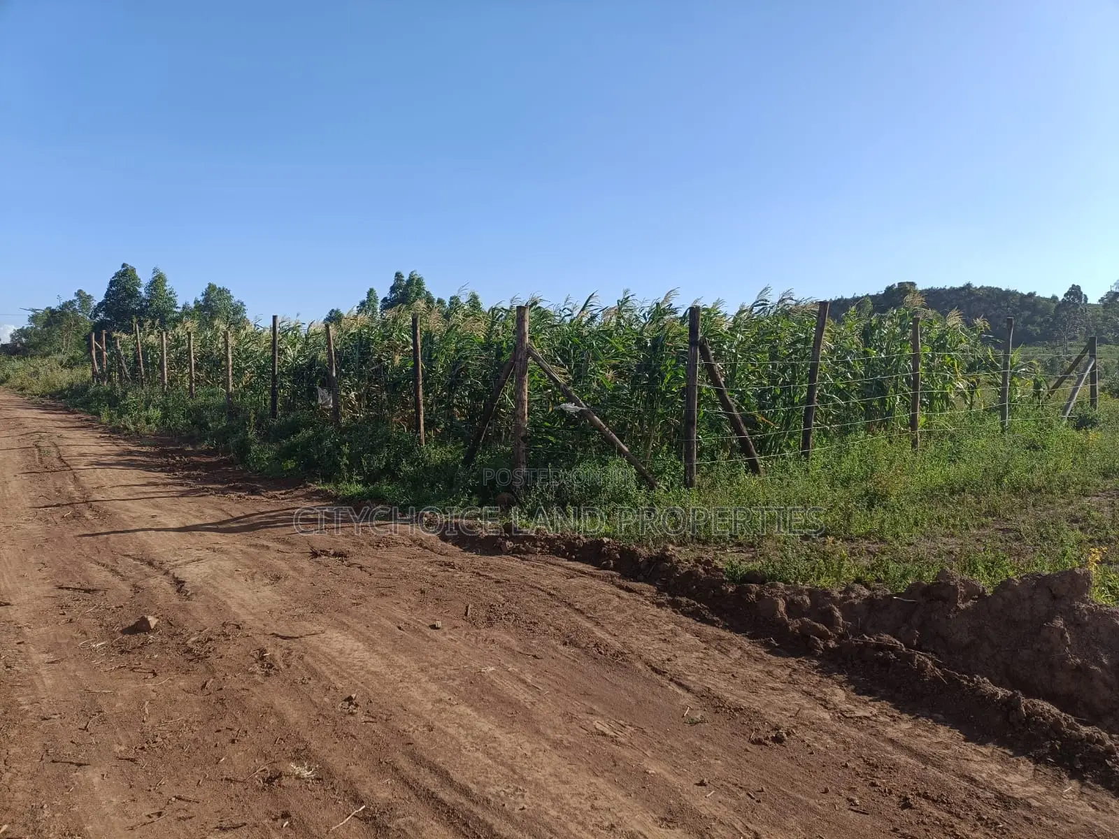 50x100 Land for Sale in Karai Kikuyu