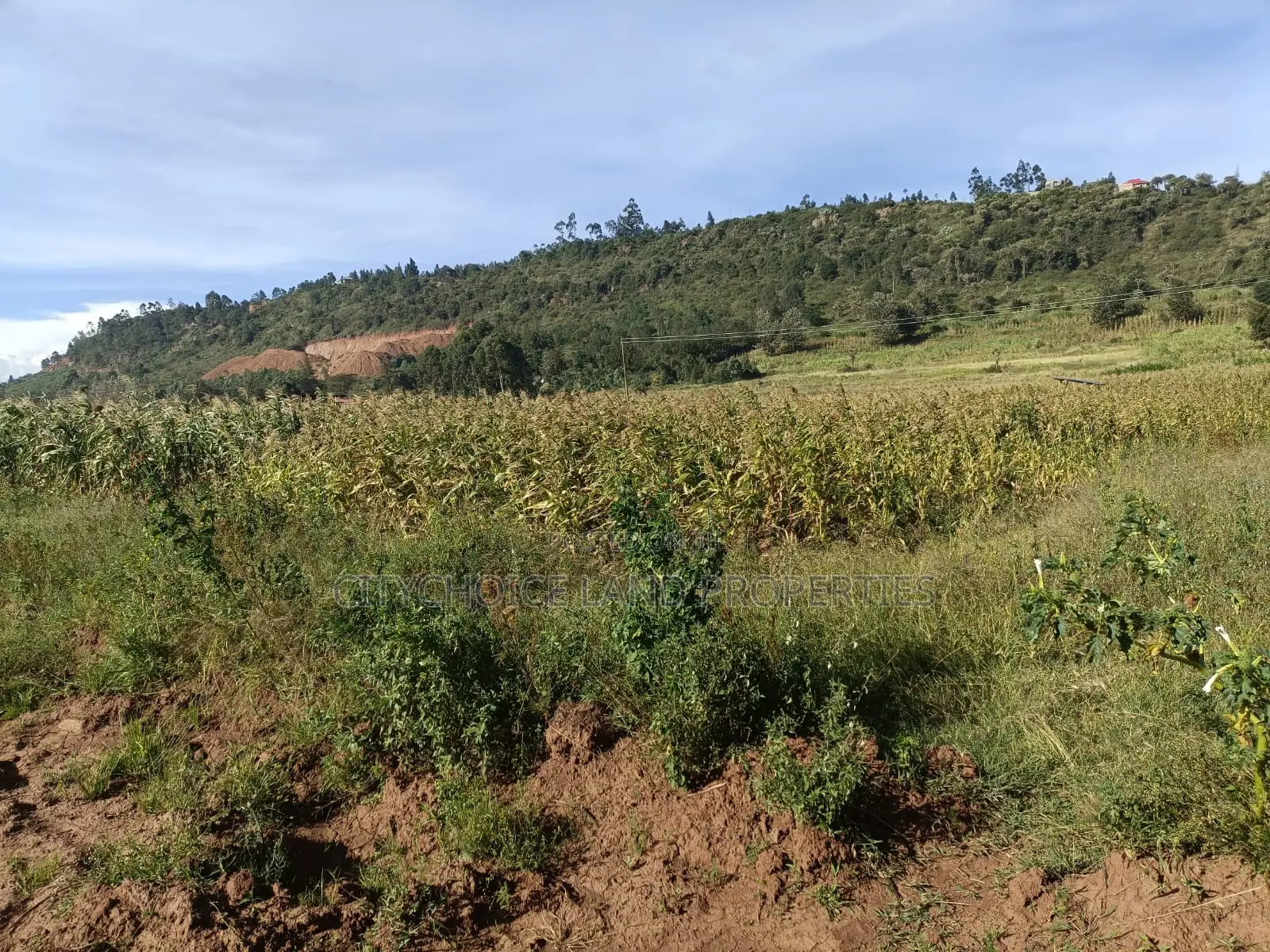 50x100 Land for Sale in Karai Kikuyu