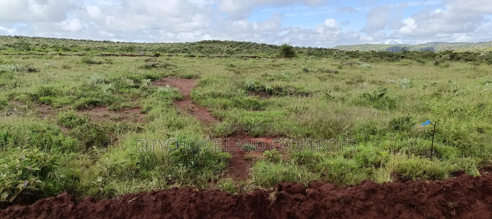 Green Hills Garden Nachu 50x100 Plot for Sale on Offer!