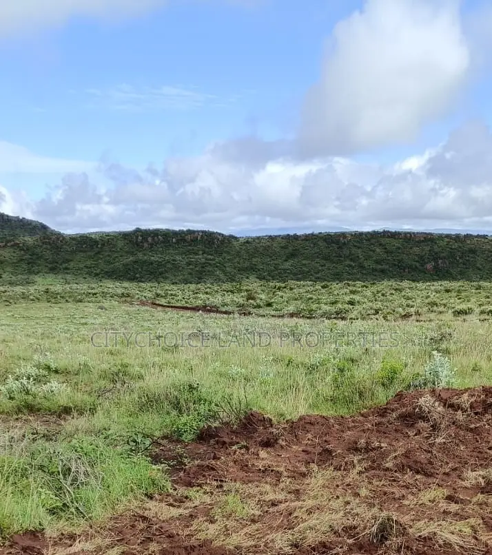 50x100ft Green Hills Gardens on Offer! In Kikuyu Nachu